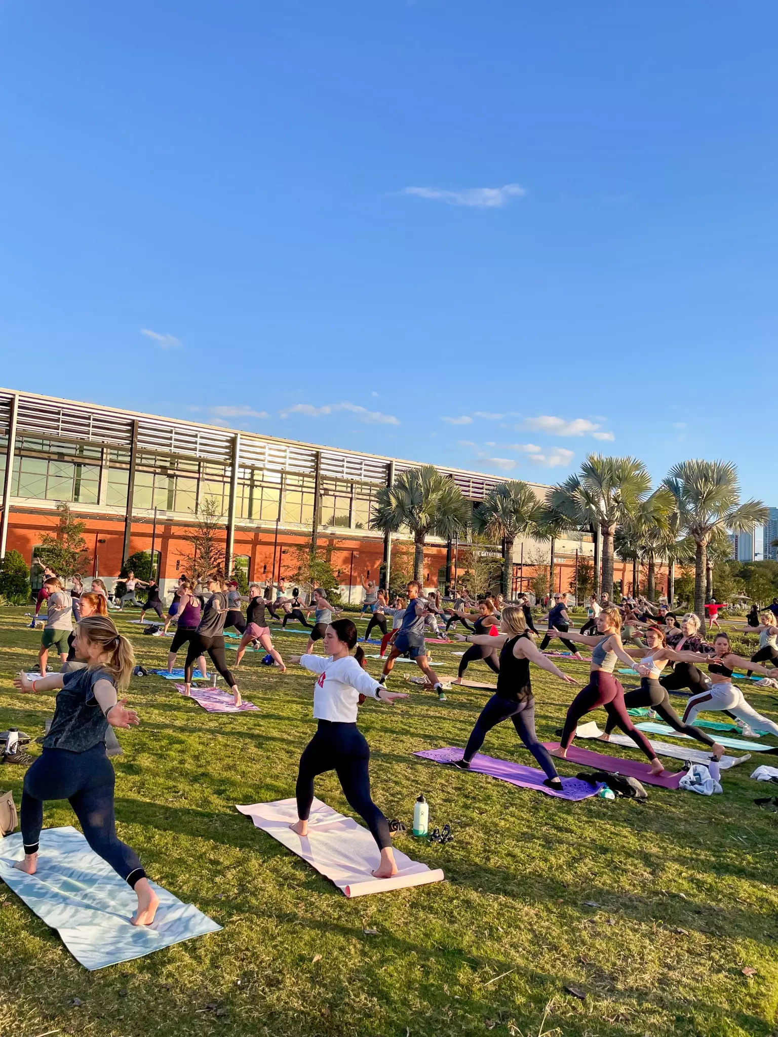 Circuit Training With Body Fit Tampa 